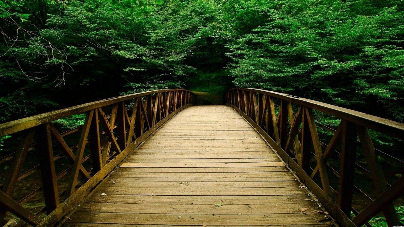 1366x768 Nature Photohop Background Best Wallpaper 16407