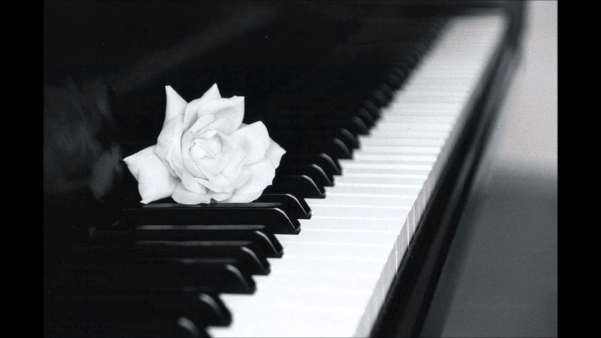 Black Piano Wallpapers - Top Free Black Piano Backgrounds - WallpaperAccess