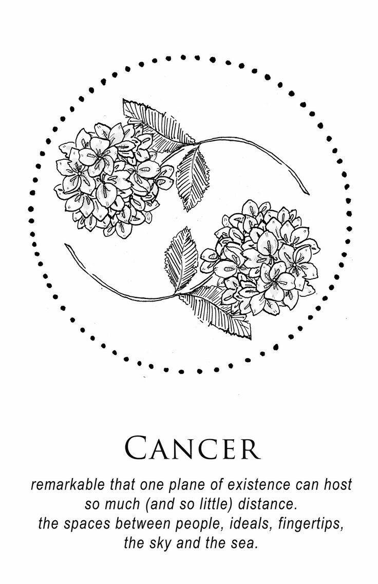 736x1137 Zodiac Signs & Things We Don't Want To Hear