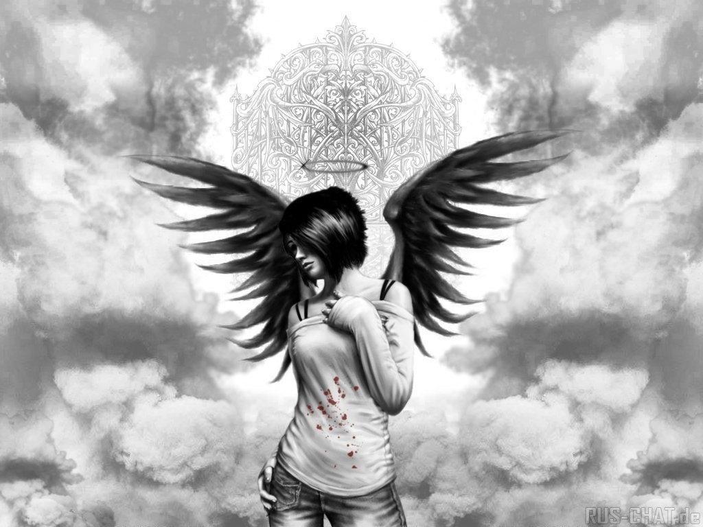 1024x768 image Wallpaper