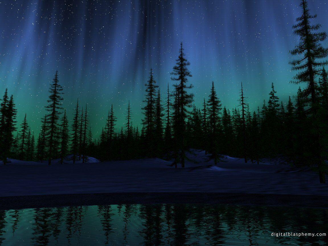 1152x864 Forest At Night Aurora Borealis