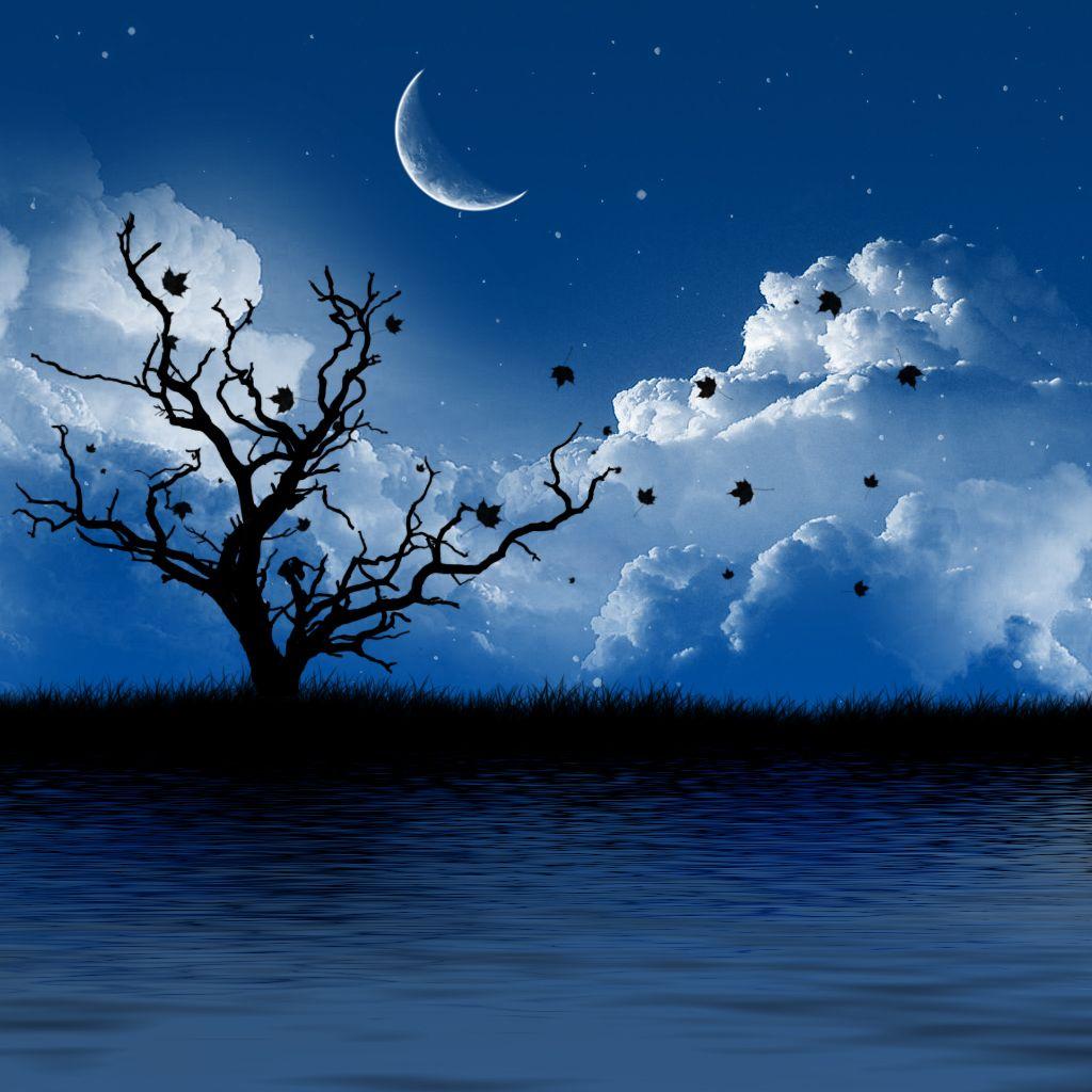 beautiful magical fantasy night landscape Stock Illustration | Adobe Stock