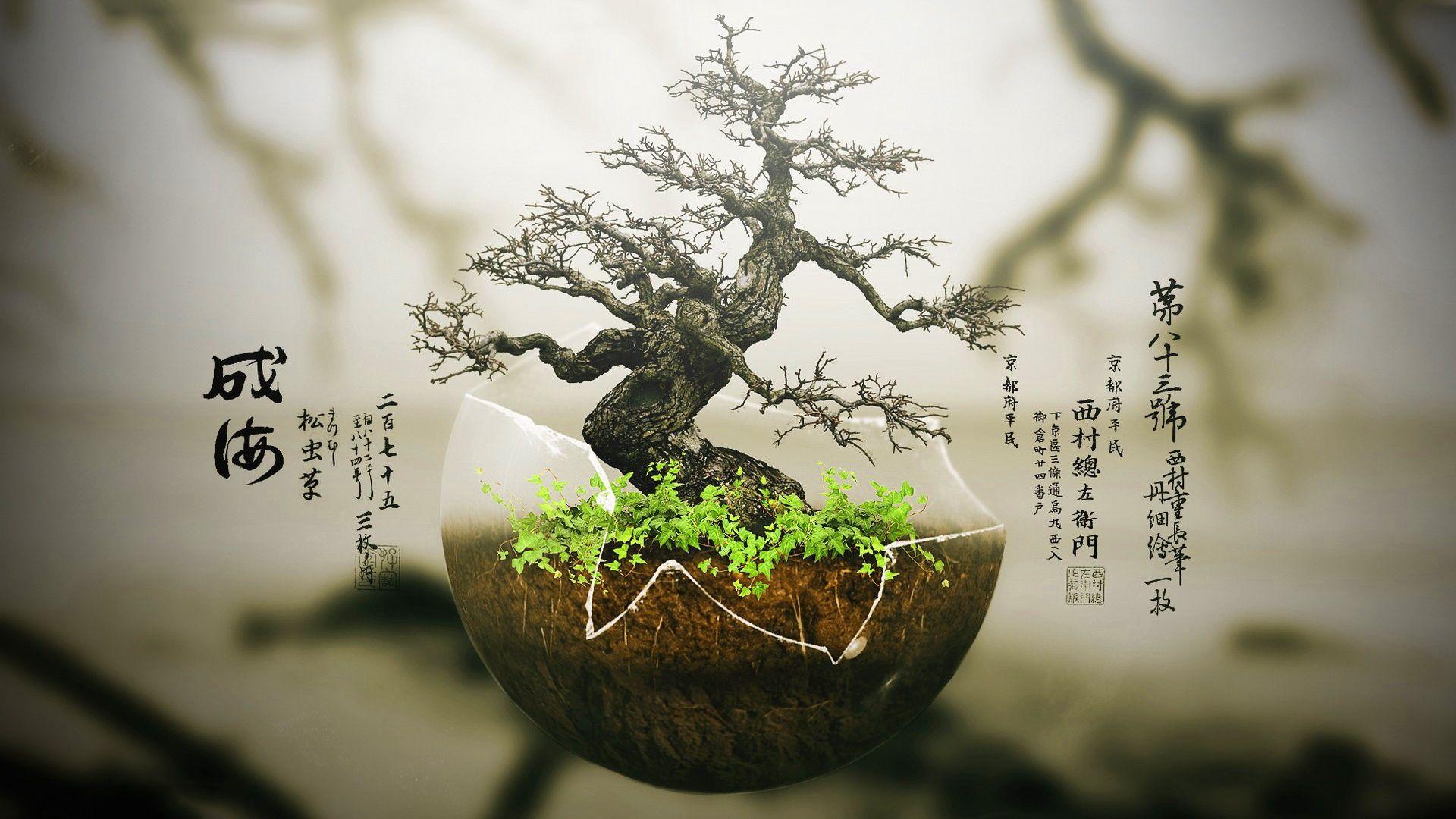 Bonsai Tree Wallpaper HD on Windows PC Download Free - 1.02 - com.bonsai .tree.wallpaper.smalltree.treeimage