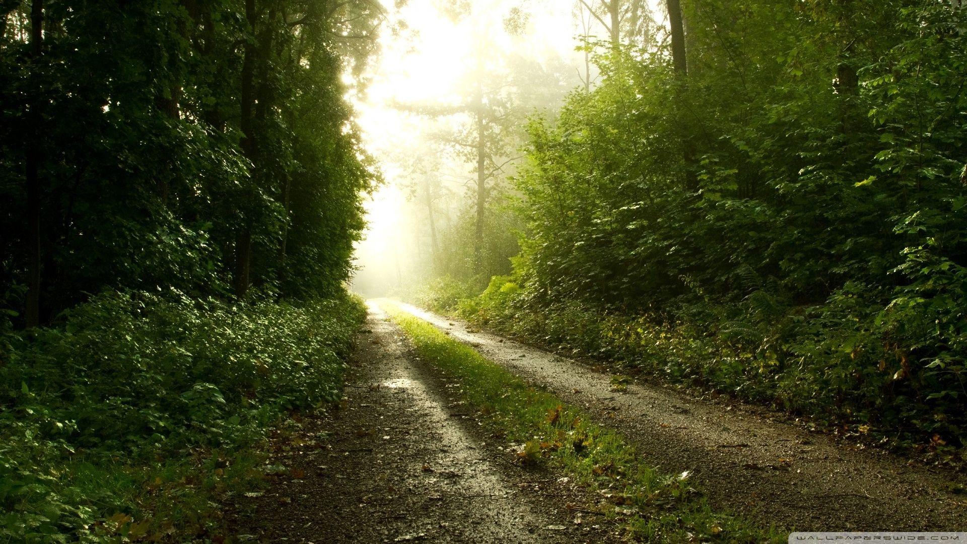 1920x1080 After Rain Background wallpaperx1080