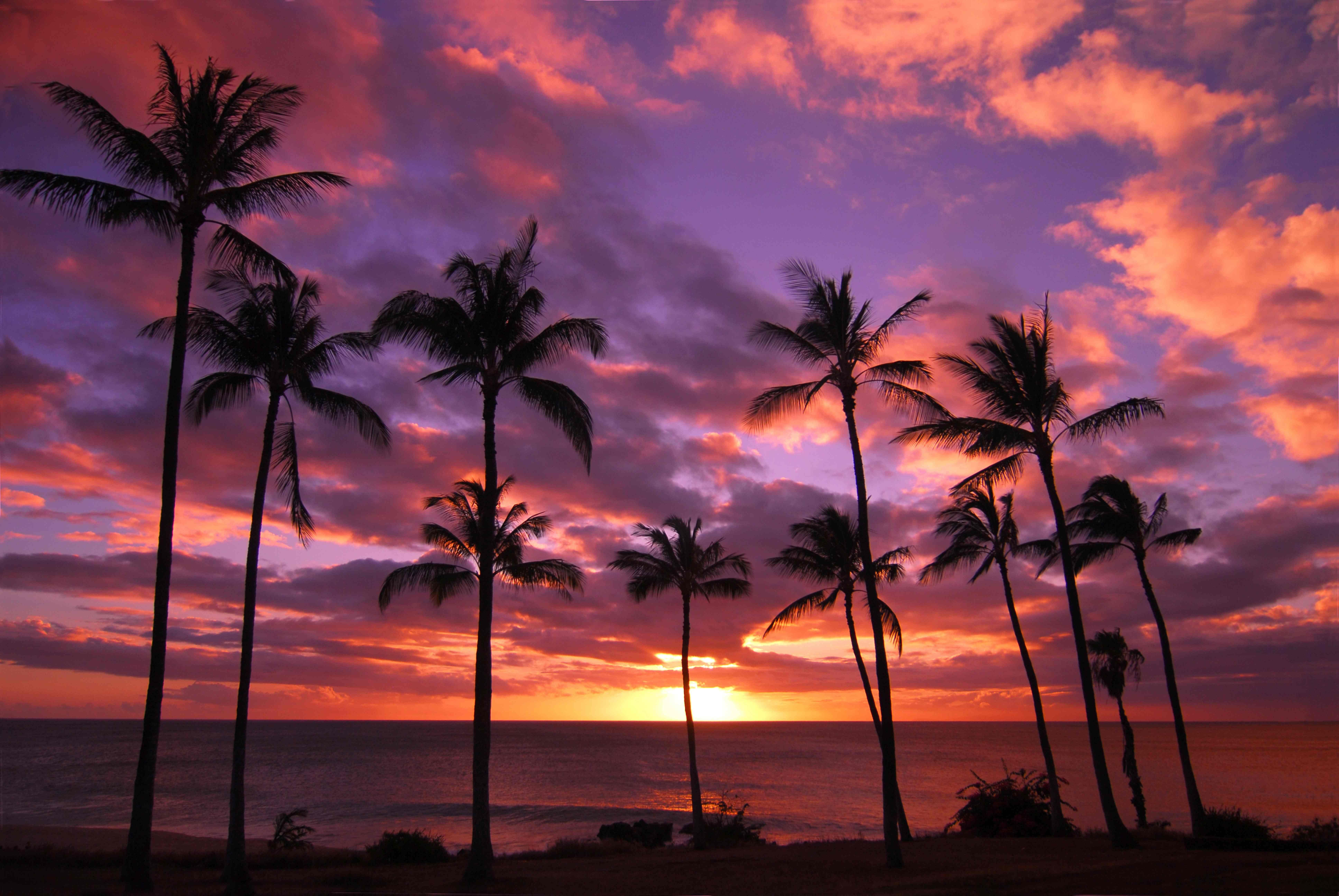 7744x5184 Free download Hawaiian Getaway and Nearly Activities in Oahu