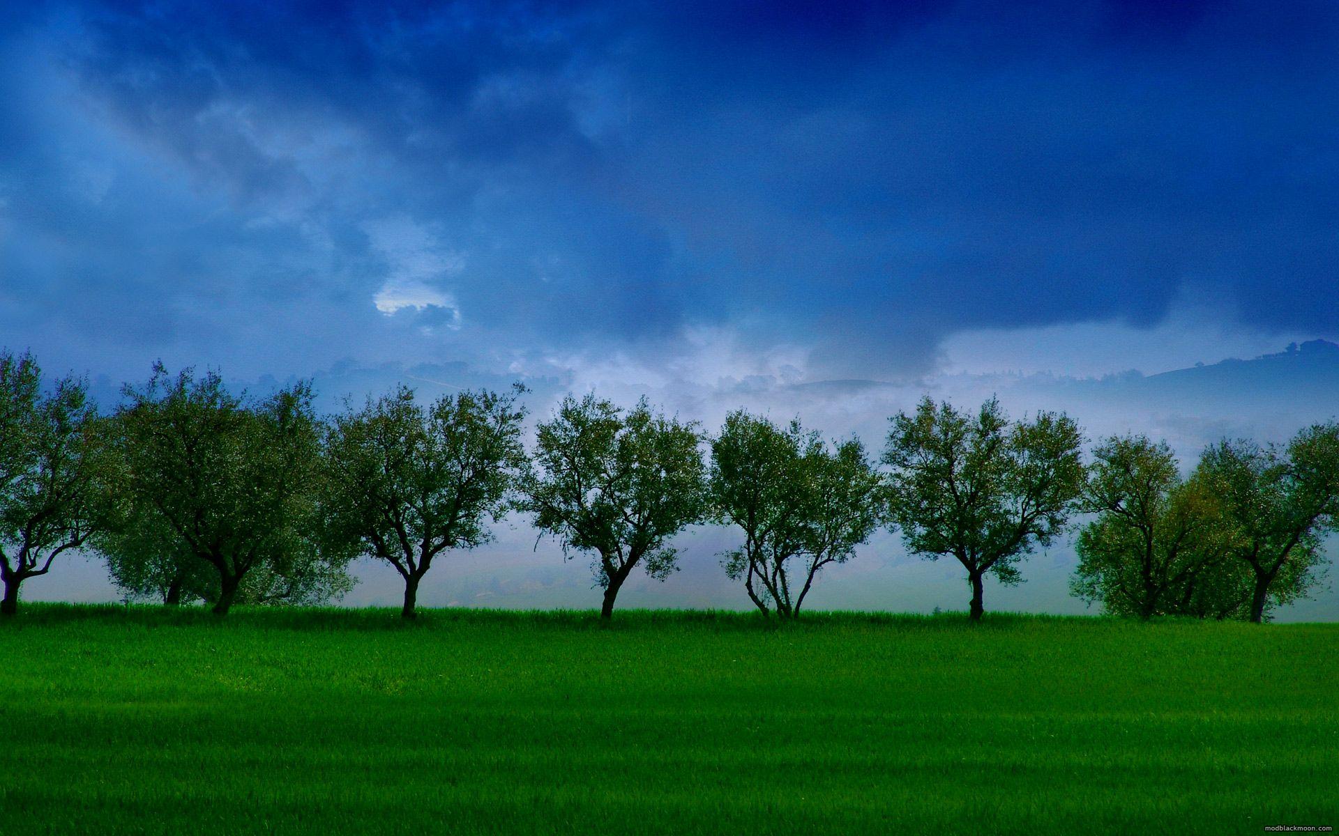 1920x1200 MB Design, Dark, Landscape, Gothic Desktop Wallpaper