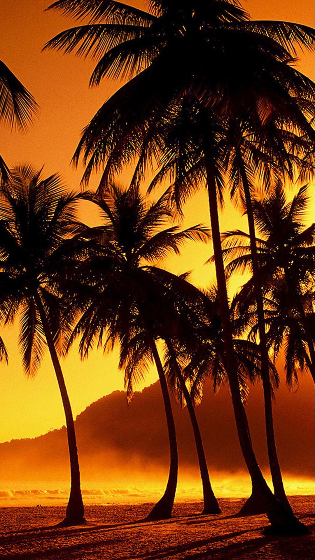1080x1920 Best 5 Palm Tree Wallpaper Widescreen For Your Android or iPhone Wallpaper #android #iphone #wa. Sunset iphone wallpaper, Palm tree sunset, Palm trees wallpaper