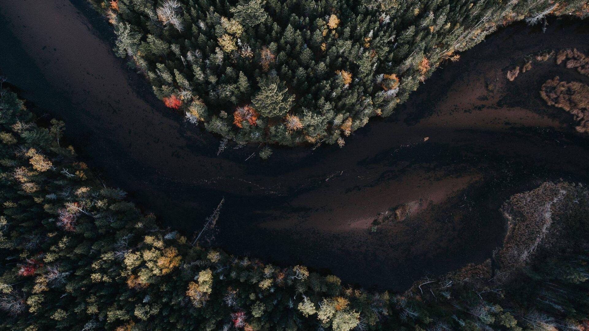 1920x1080 Aerial View Autumn Trees Laptop Full HD 1080P HD 4k