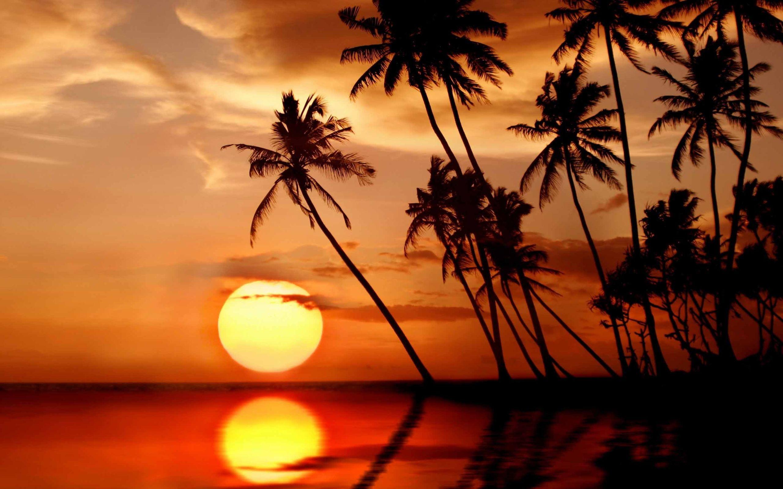 2560x1600 Sunset In Tropical Paradise MacBook Air Wallpaper Download
