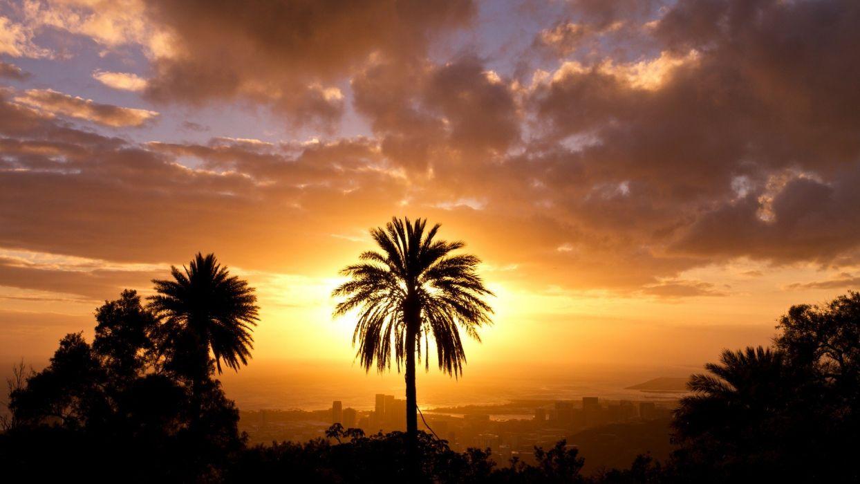 1244x700 Sunset landscapes trees silhouettes Hawaii palm trees Oahu