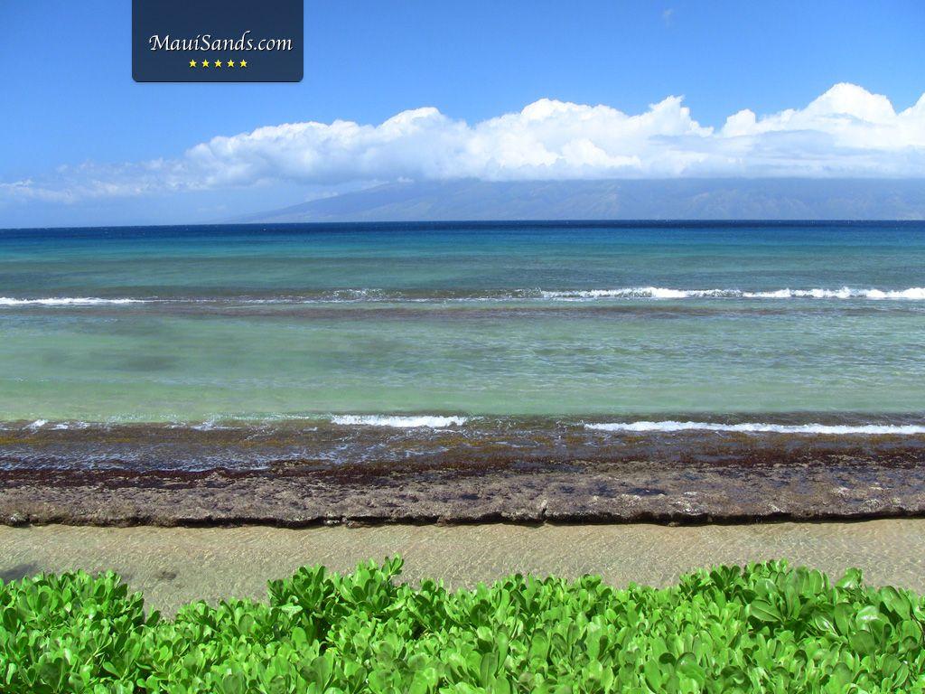 1024x768 Hawaii Wallpaper from Maui Sands