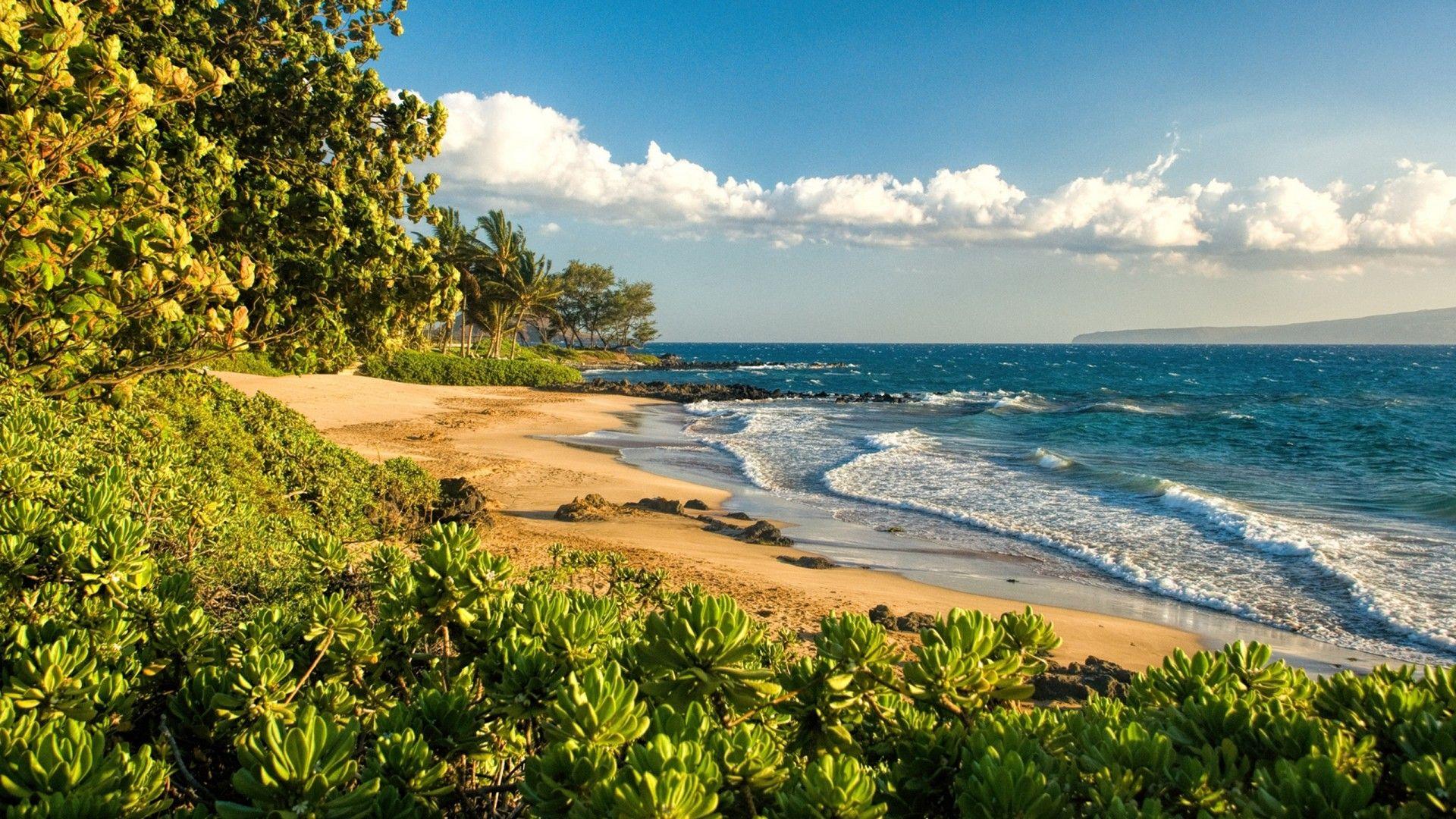 1920x1080 Polo Beach Maui Hawaii Paradise Isl Sea S Desktop Background