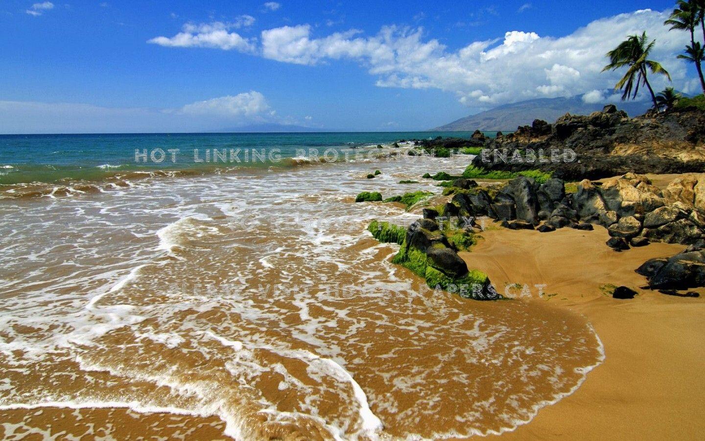 1440x900 kihei maui hawaii day seaweed nature tan