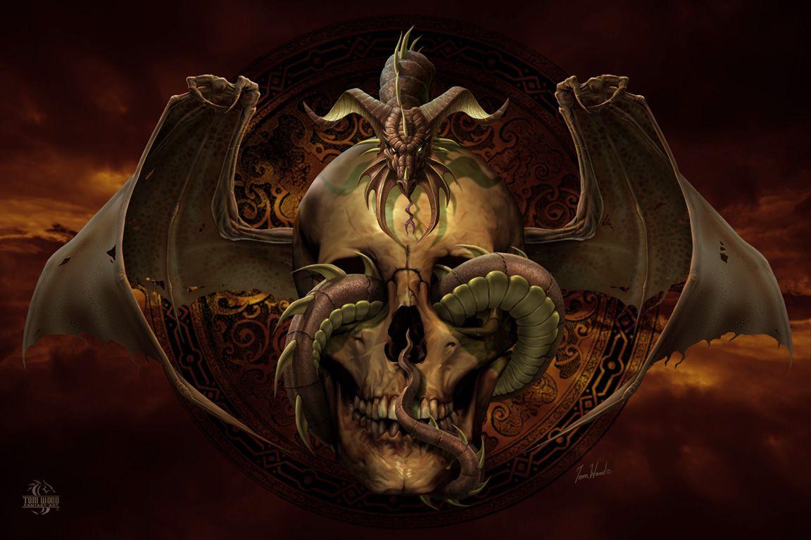 Skull Dragon Wallpapers Top Free Skull Dragon Backgrounds