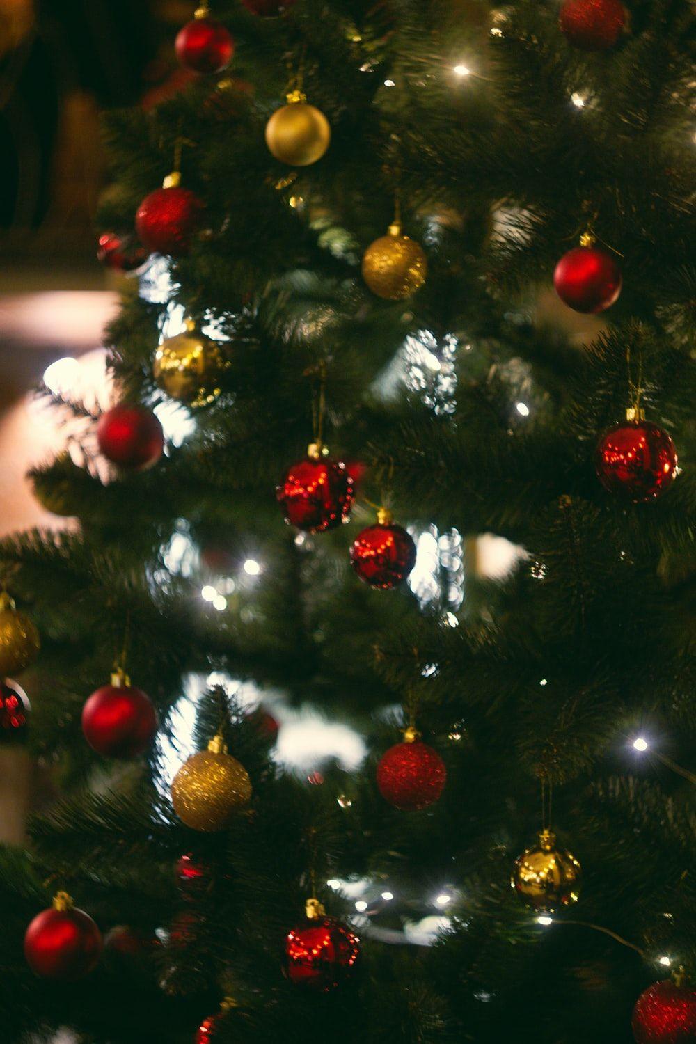 1000x1500 Christmas Tree Picture [HQ]. Download Free Image