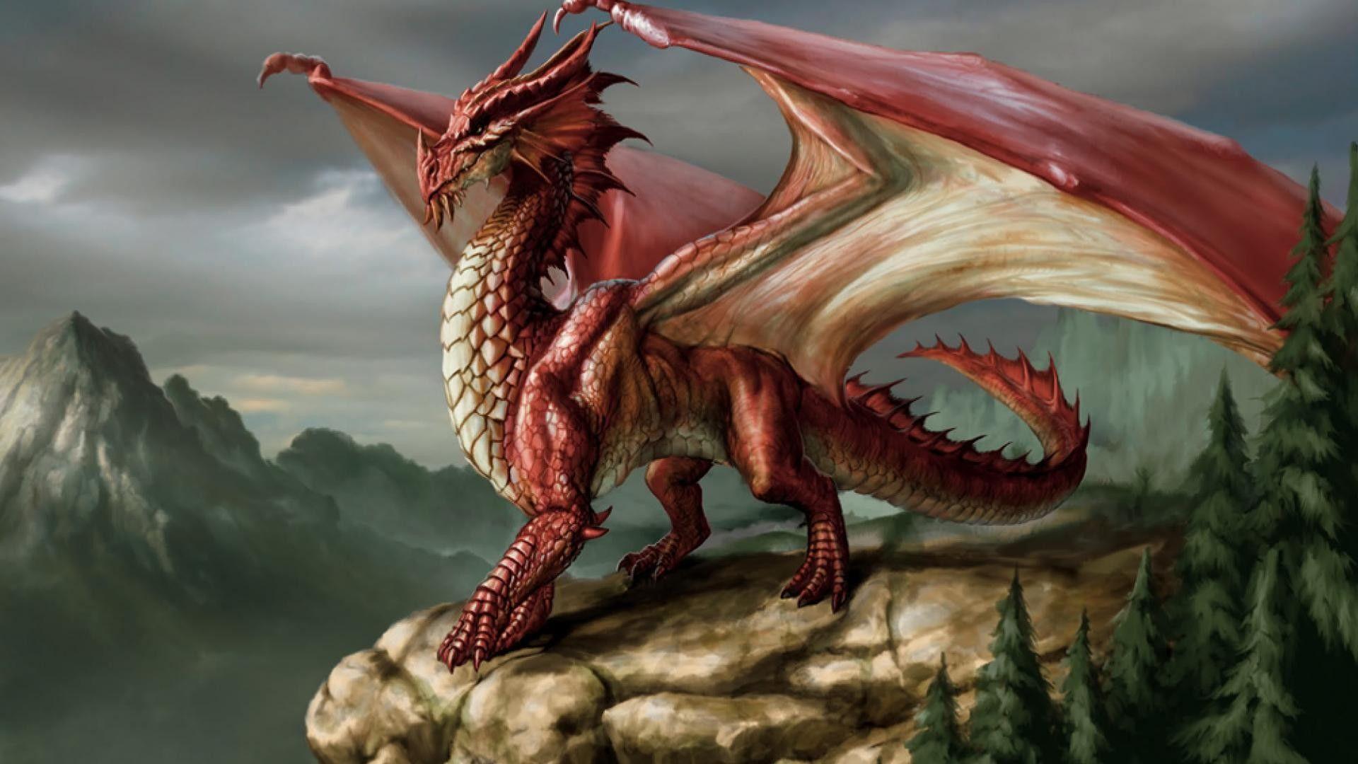 1920x1080 Red Dragon Wallpaper HD