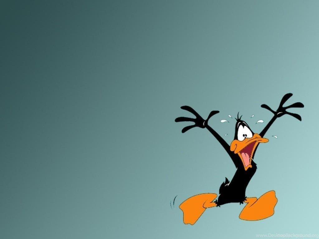 1024x768 Funny Happy Daffy Duck Cartoon Wallpaper Anima Desktop Background
