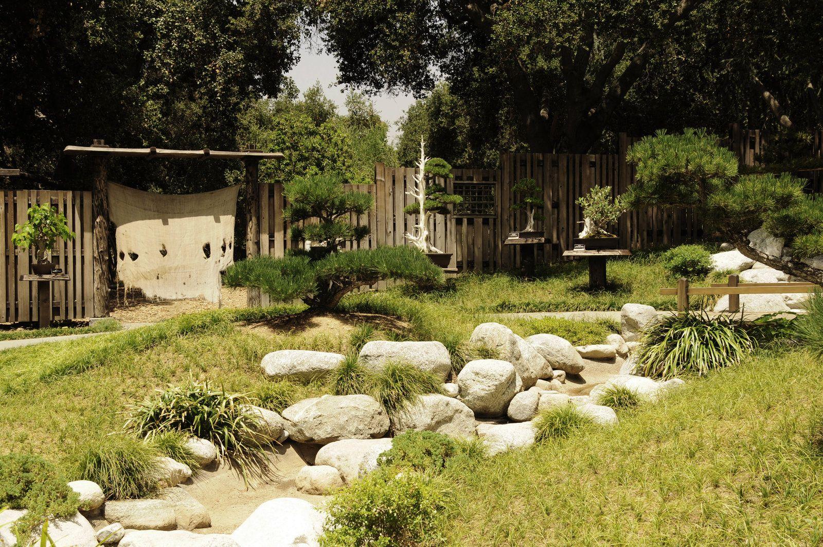 1600x1063 Wallpaper Beauty: urban art wallpaper japanese bonsai garden by andyserrano photography urban rural gardens