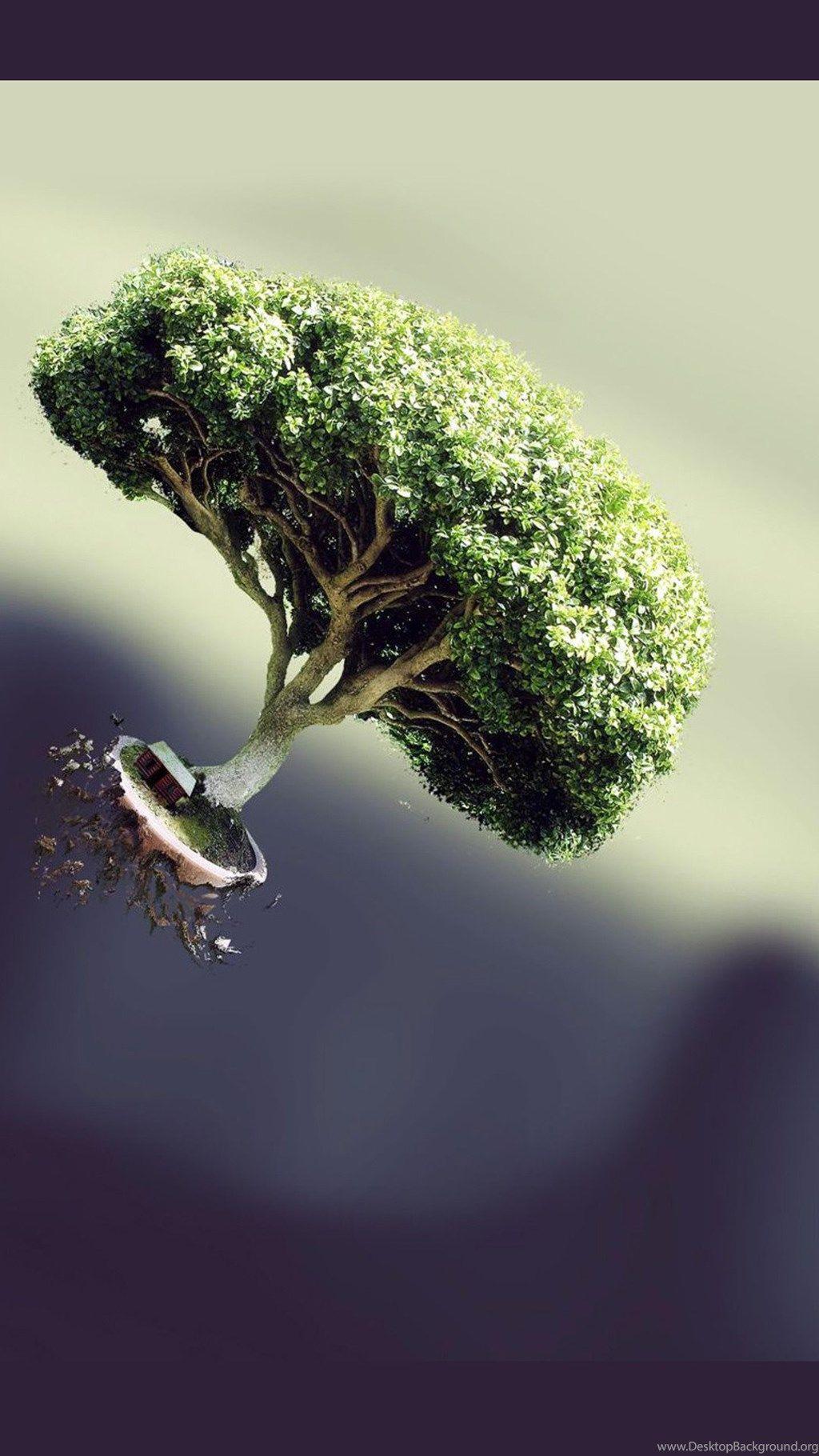 1024x1820 Floating Bonsai Mobile Wallpaper 2349 Desktop Background