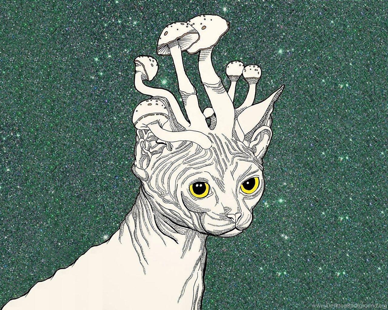 1280x1024 Full HD 1080p Trippy Stoner Wallpaper HD, Desktop Background. Desktop Background