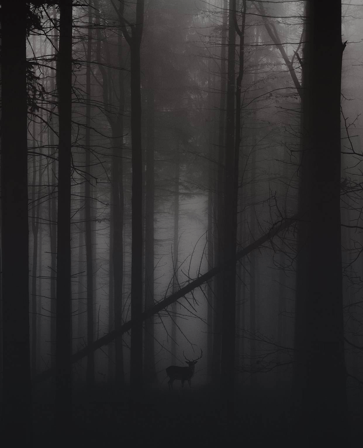 1242x1533 Patronus Download the Vellum App on iOS to get this free Daily