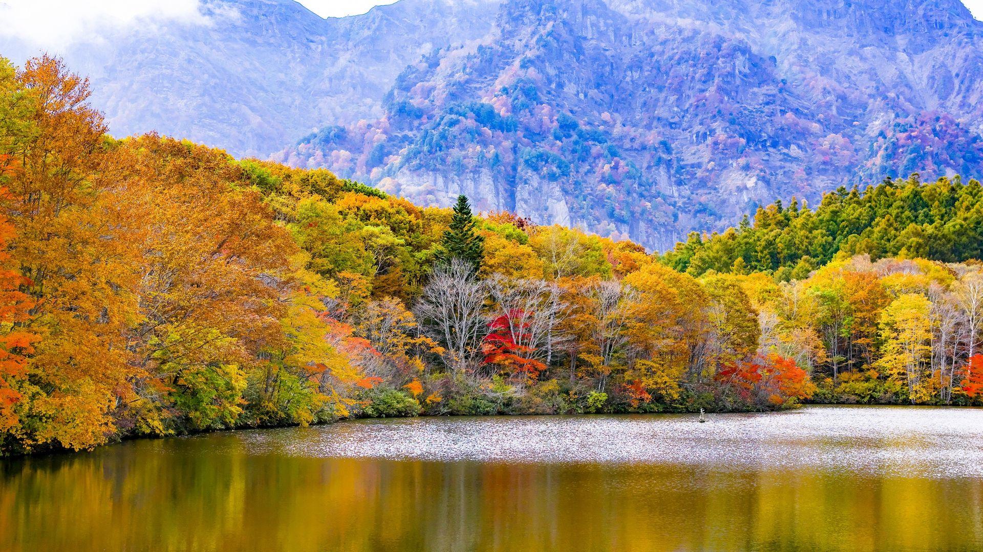 1920x1080 Autumn Japan Wallpaper