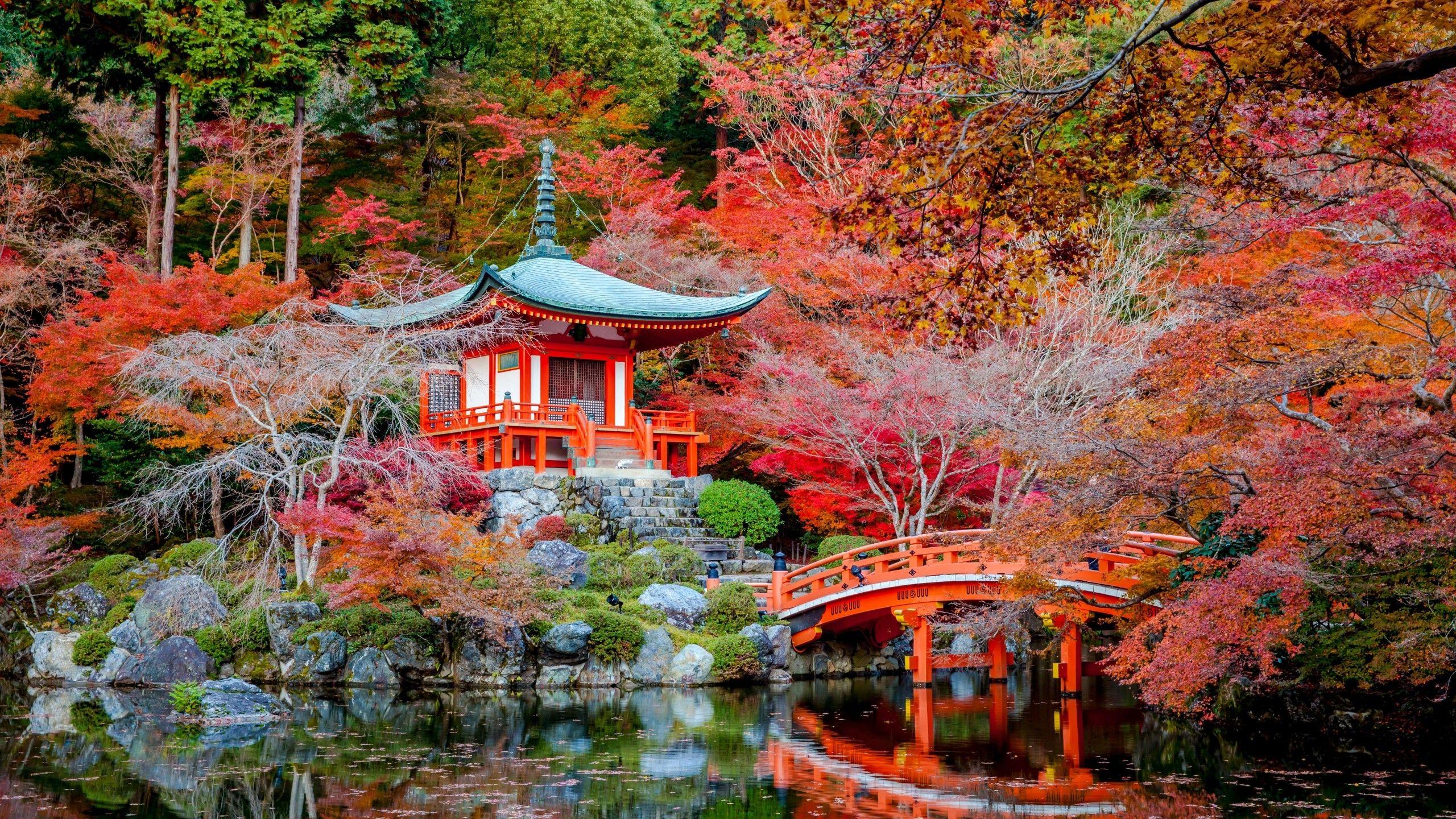2560x1440 Download 2560x1440 Japanese, Shrine, Bridge, Autumn, Fall, Stream