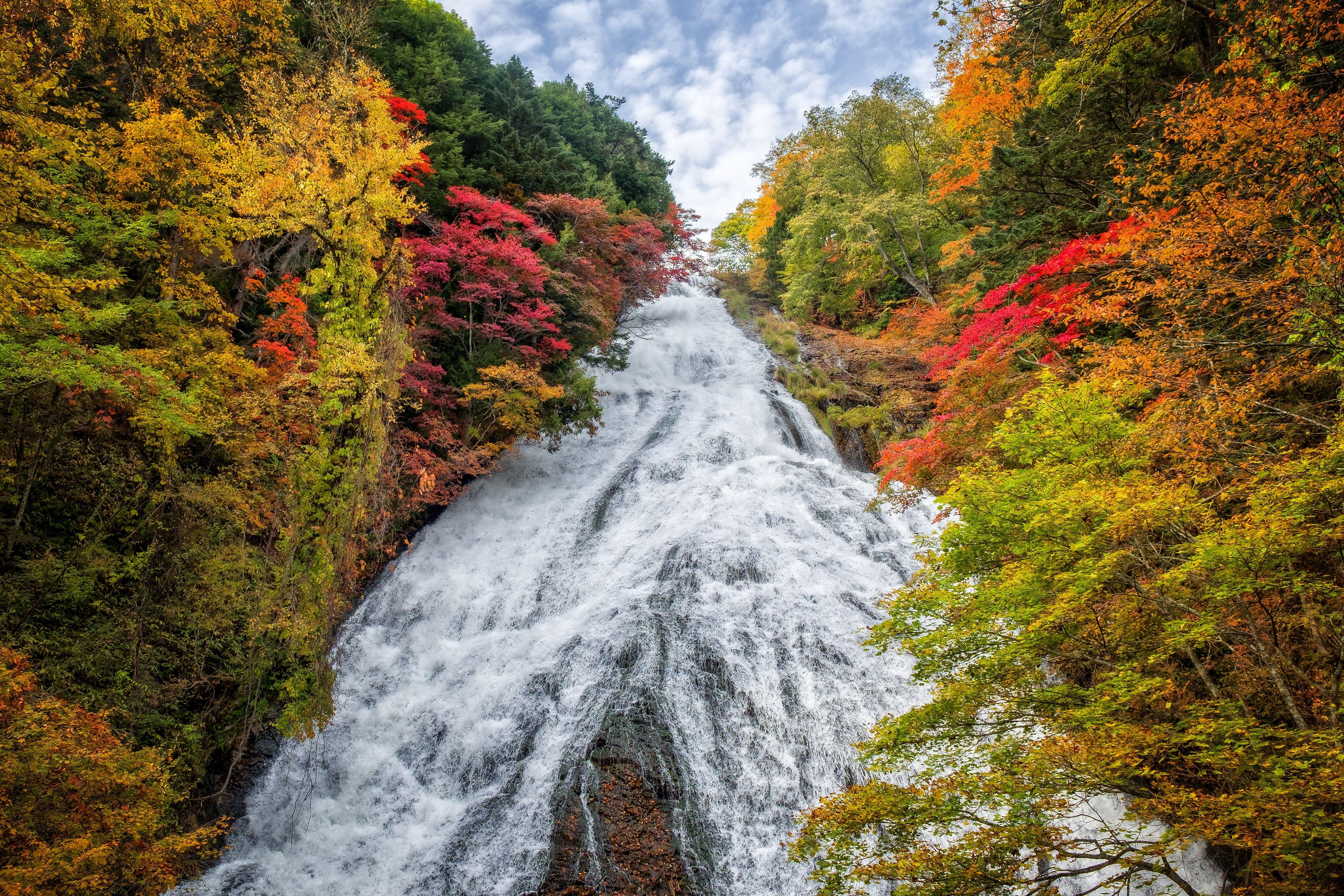 4896x3264 Autumn Forest Waterfall in Japan 4k Ultra HD Wallpaper