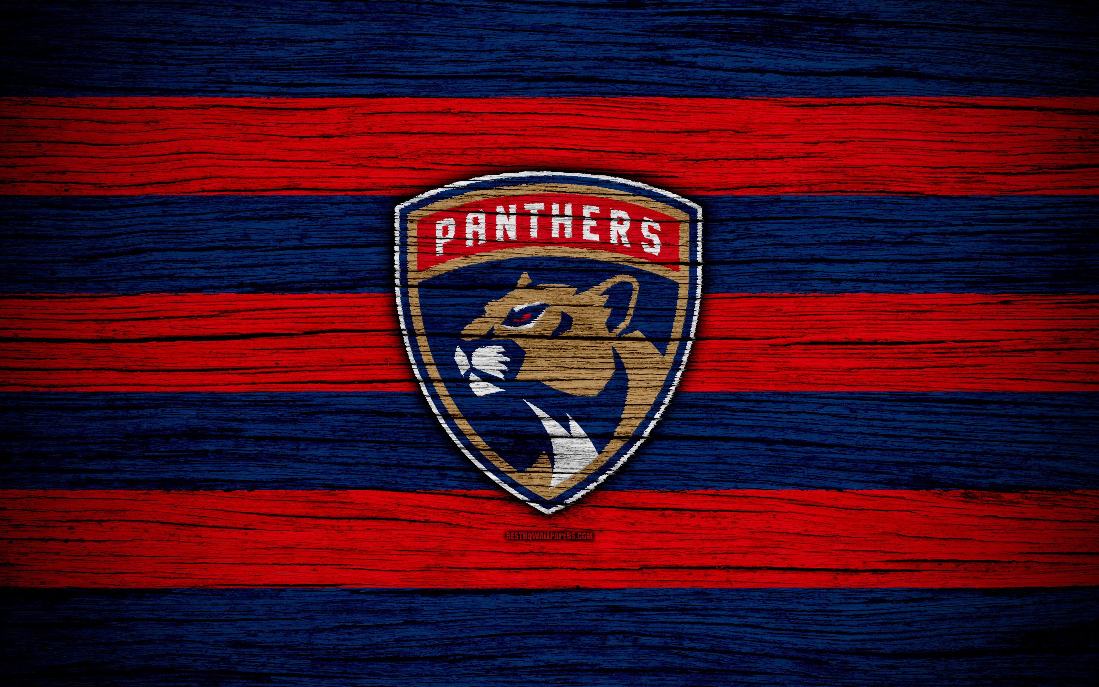 3840x2400 Florida Panthers Cool Background