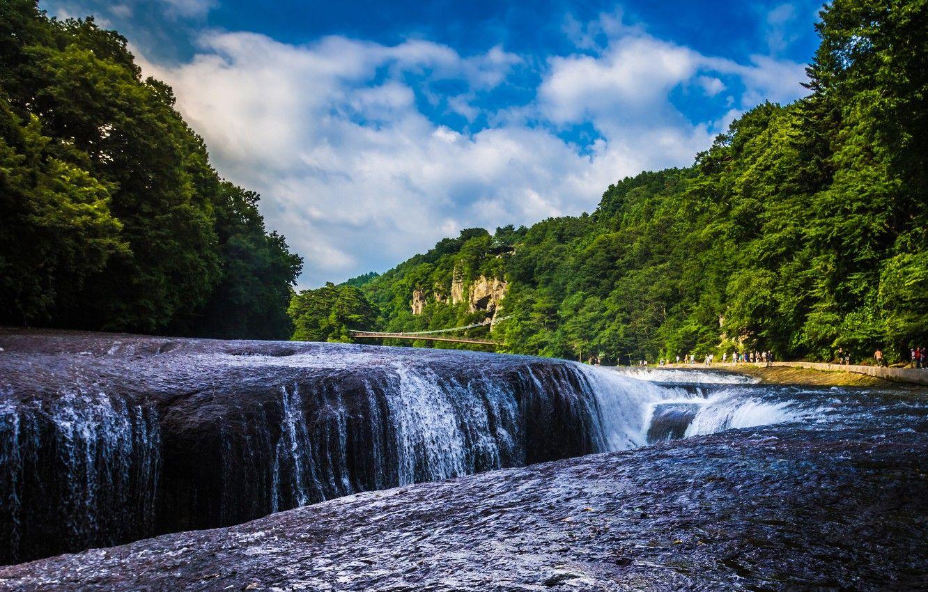 1332x850 Wallpaper forest, river, waterfall, Japan, Japan, waterfall