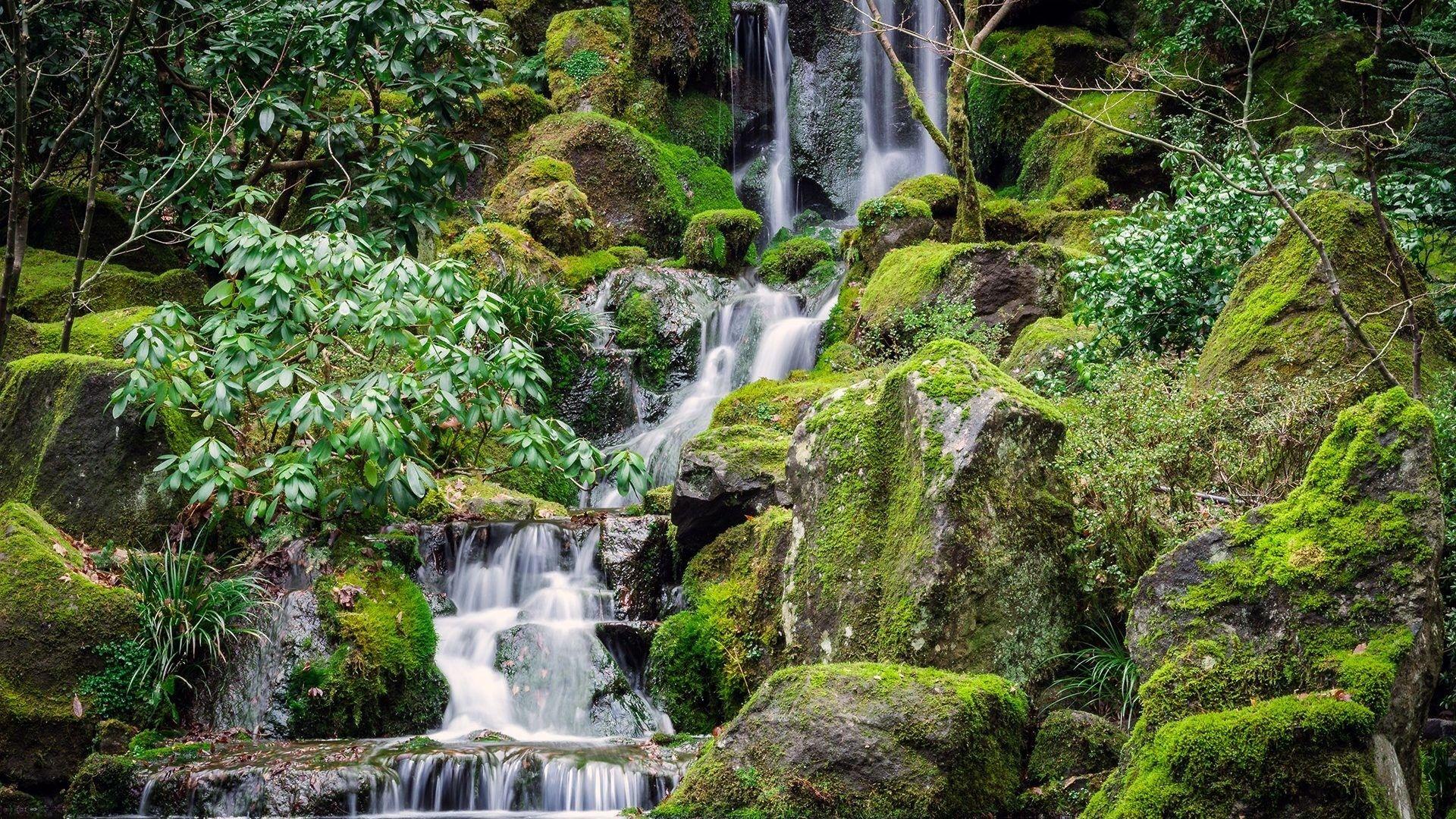 1920x1080 Japanese Nature