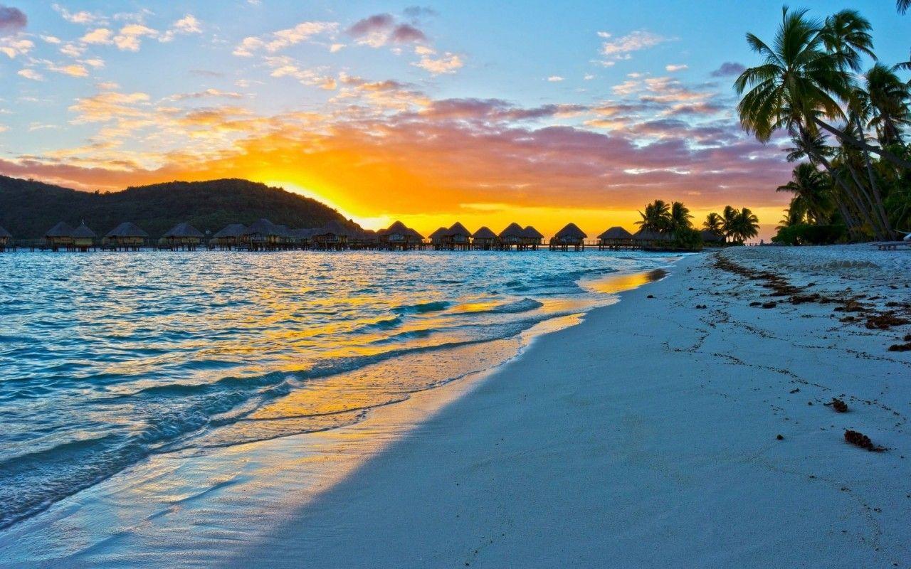 1280x800 Ocean Exotic Beach Palm Sunset wallpaper. Ocean Exotic Beach Palm