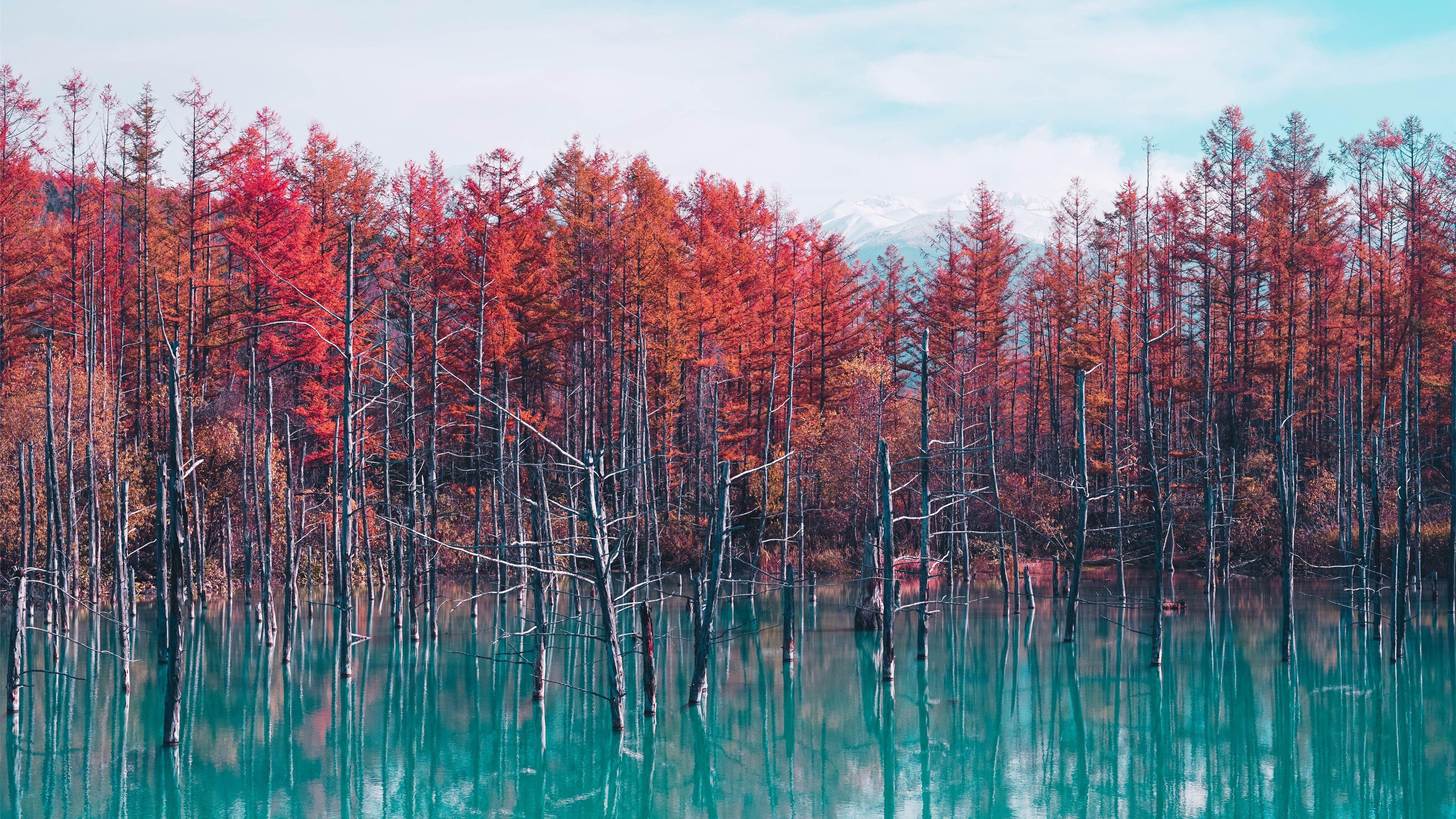 5120x2880 Blue Pond, Hokkaido Mac Wallpaper Download