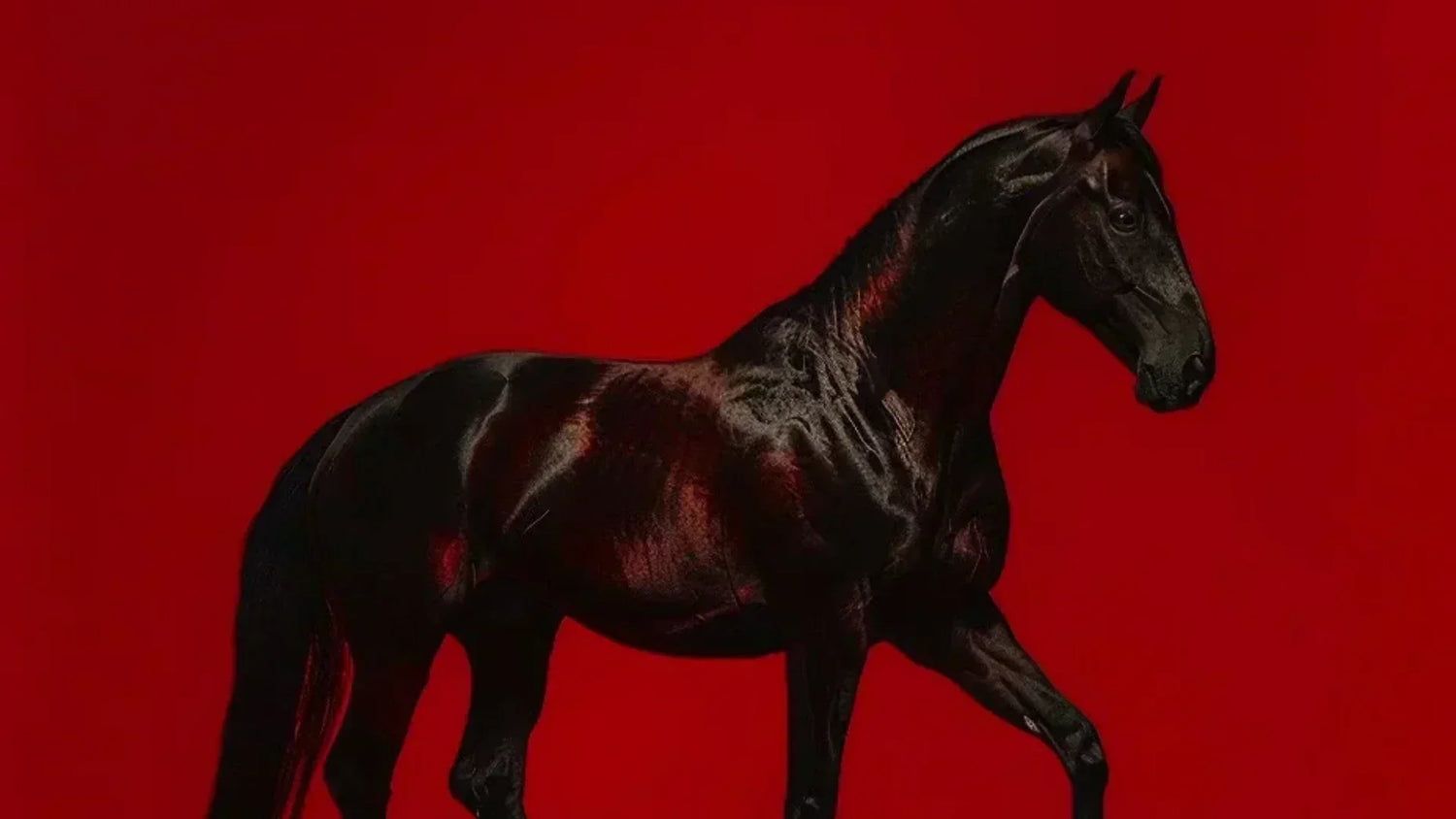 1500x844 Horses in Chinese Culture: Symbols, Art & Chic Bags