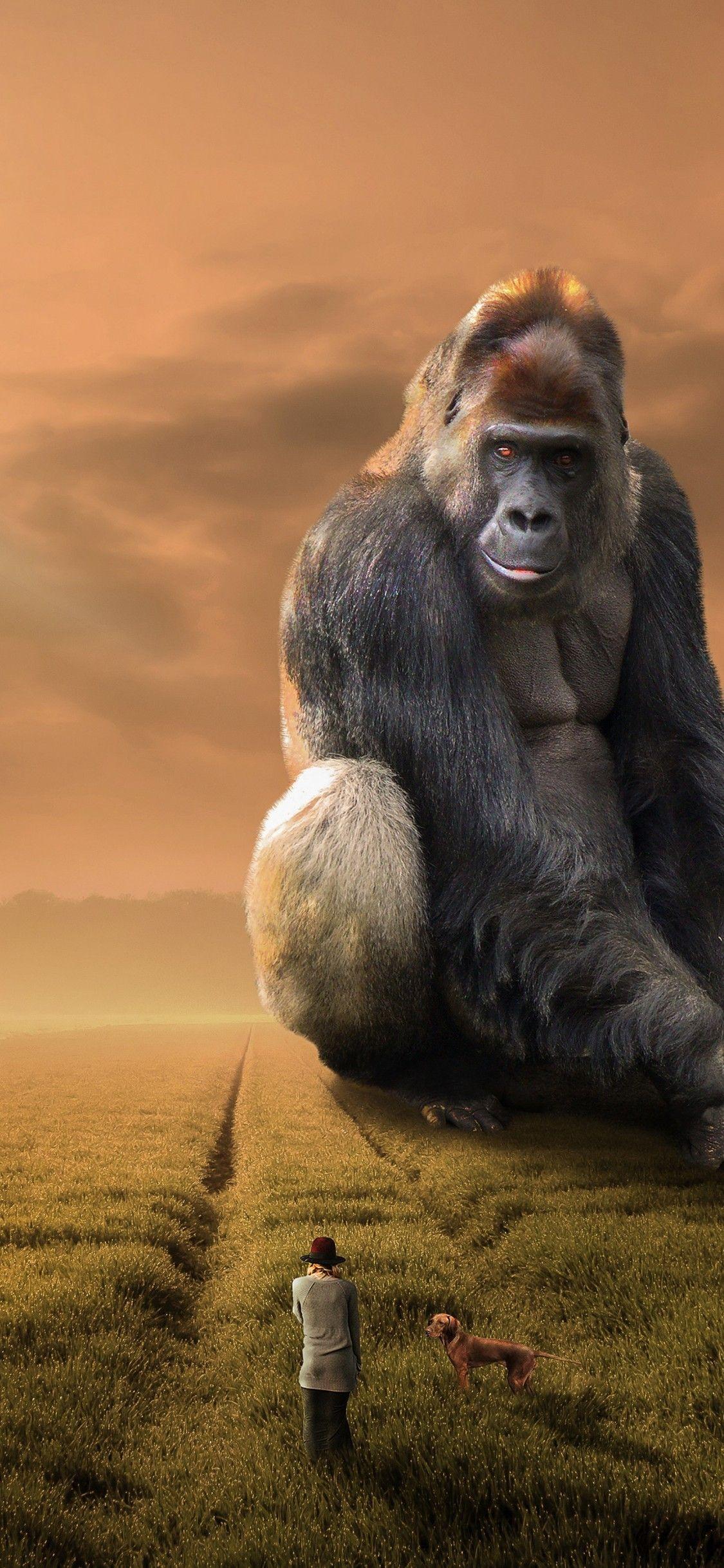 1125x2436 Download 1125x2436 Titan Gorilla, Clouds, Field, Creature