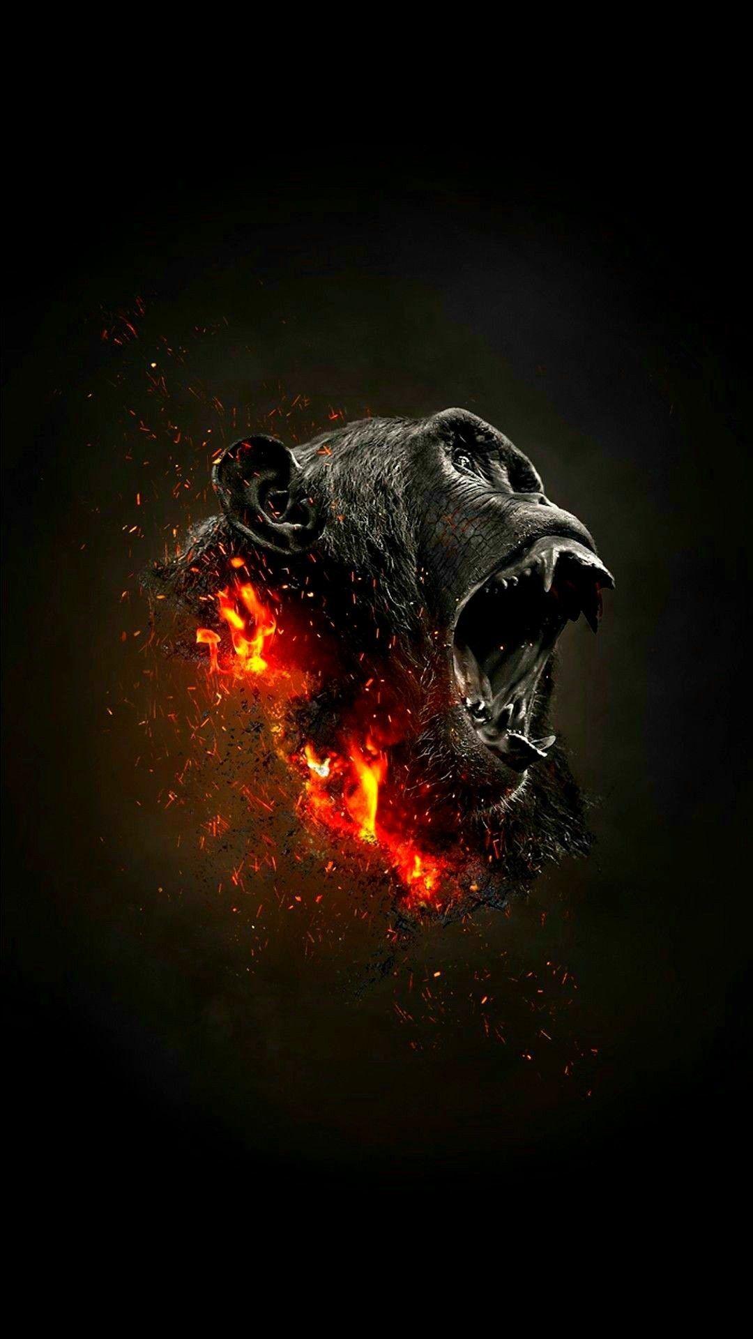 1080x1920 Baby Gorilla iPhone Wallpaper