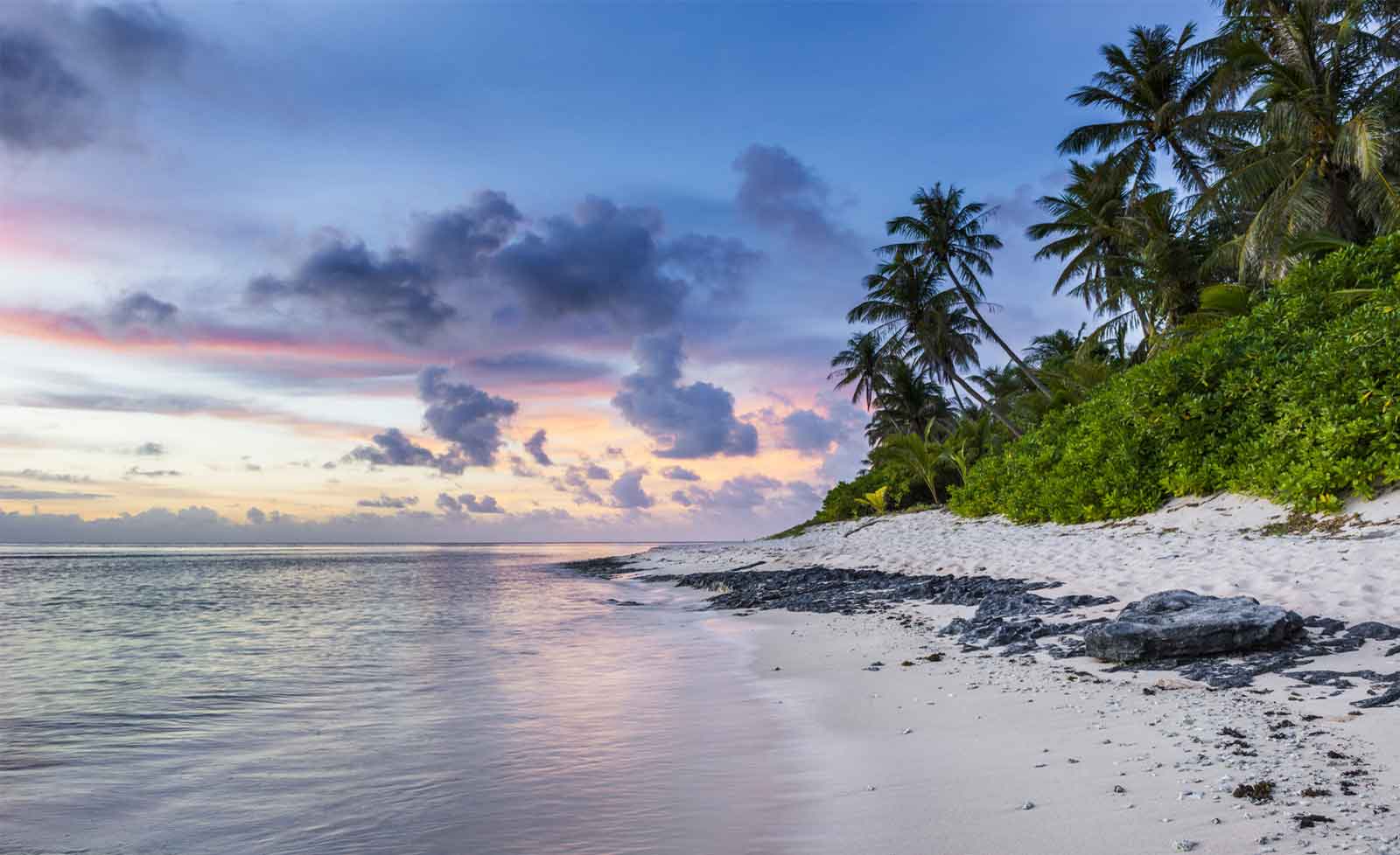 1600x978 WALL MURAL PHOTO WALLPAPER XXL Beach Palm Trees Sea Ocean Island