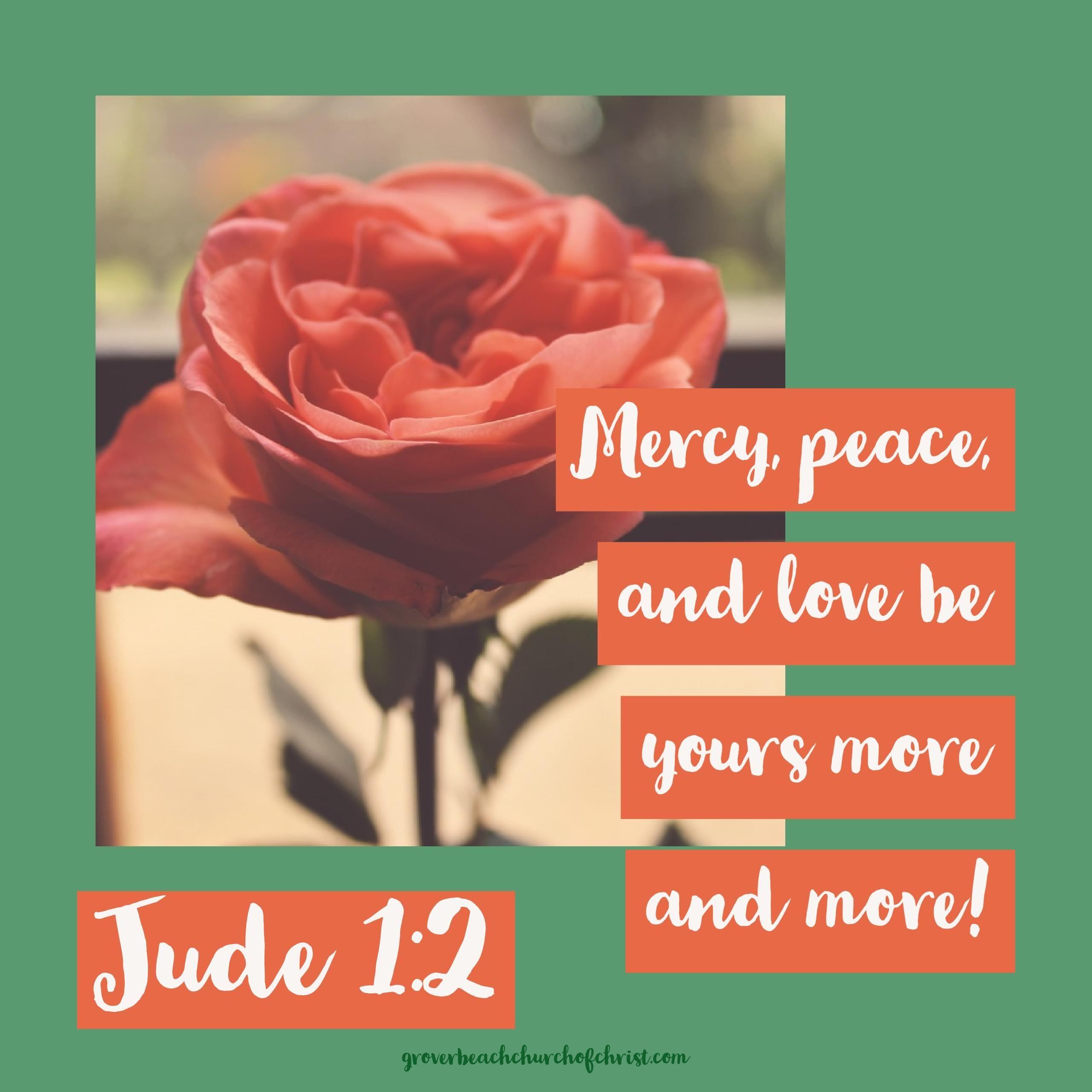 2560x2560 bible #bibleverse #bibleimage #love #christian #meme