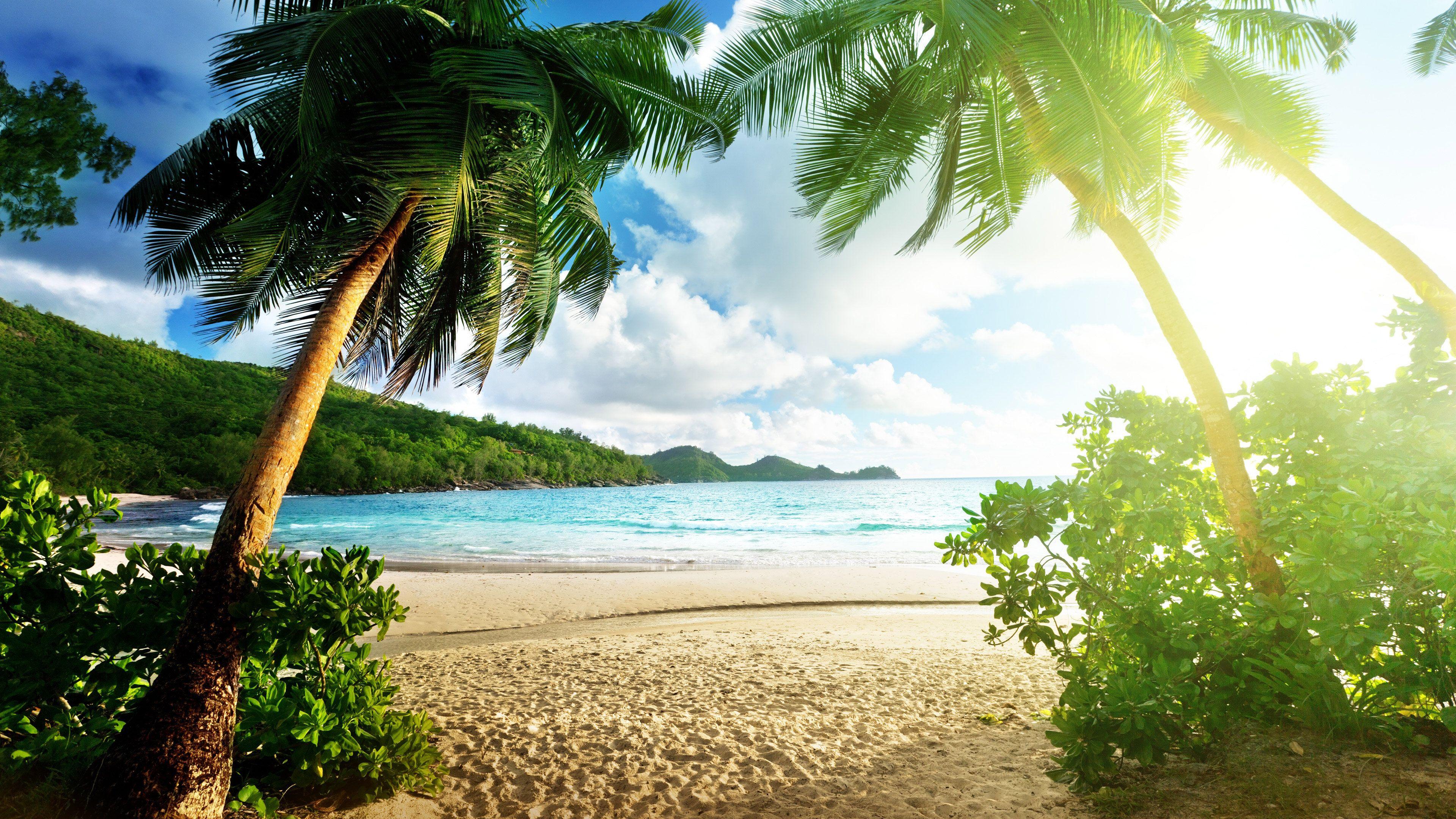 3840x2160 Tropical HD HD Wallpaper