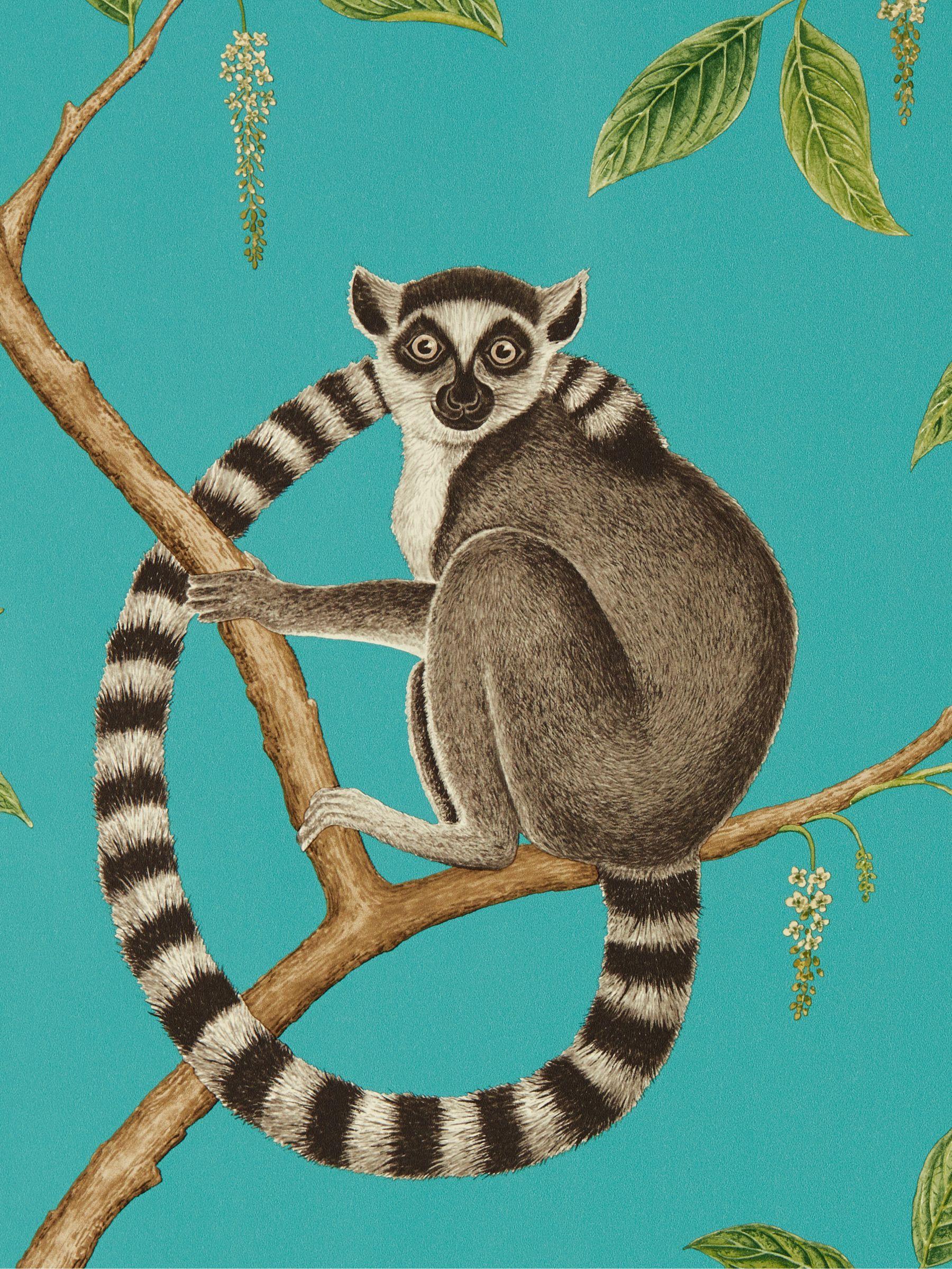 1800x2400 Sanderson Ringtailed Lemur Wallpaper at John Lewis & Partners