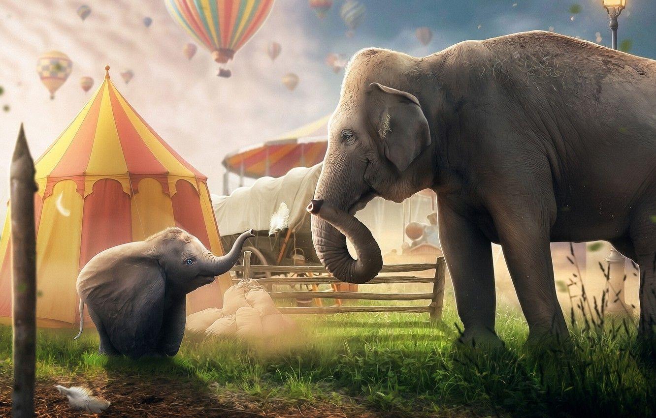1332x850 Wallpaper Elephant, Disney, Fantasy, The film, Disney, Circus