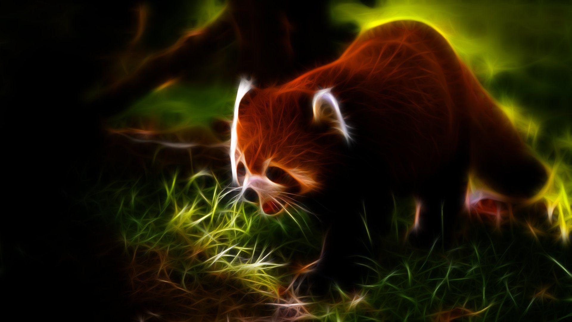 1920x1080 Animals Fractalius red pandas wallpaperx1080