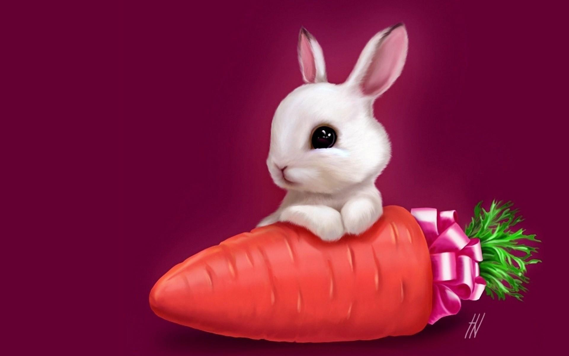 1920x1200 Hình nền Anime Cool Bunny Rabbit