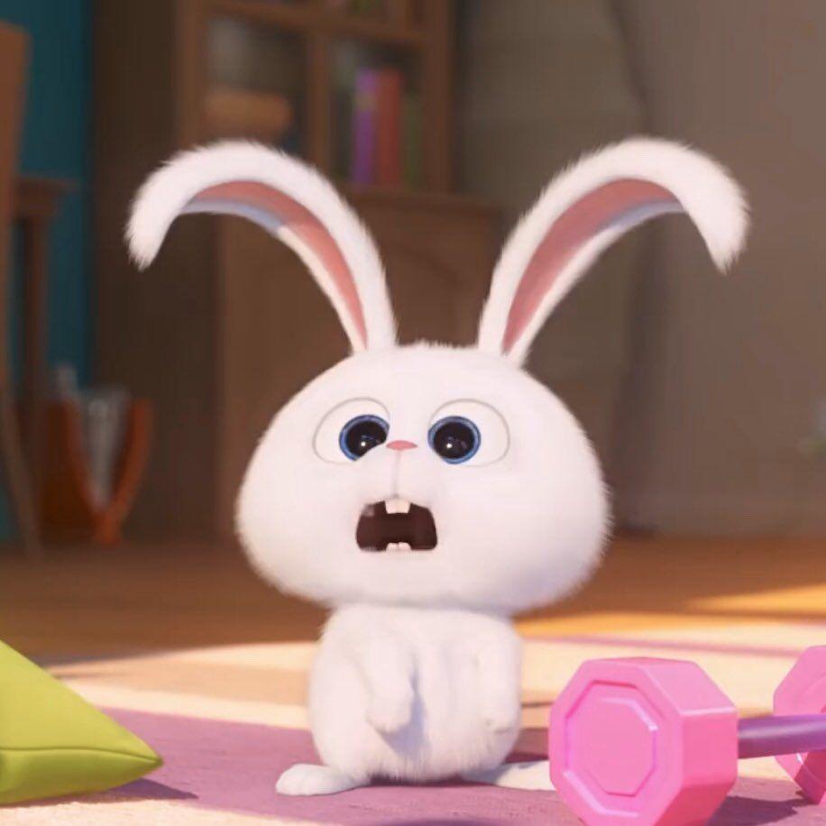 916x916 Snowball