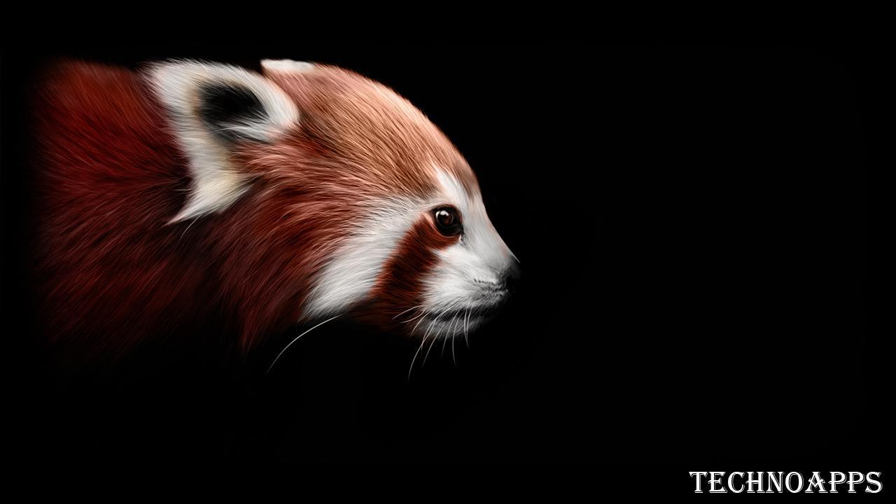 1280x720 Red Panda Wallpaper for Android
