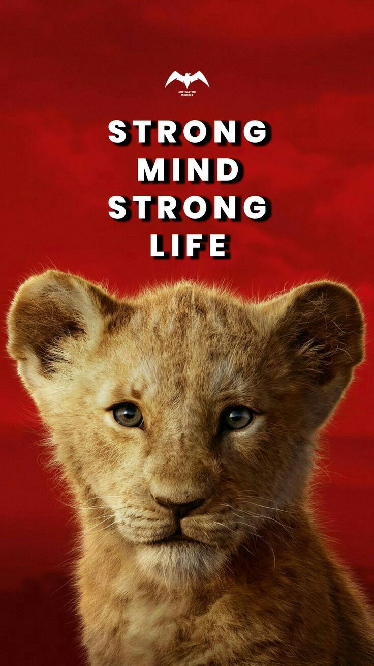 736x1309 Strong Mind, Strong Life. Life quotes with lion background, Motivational text on lion background, Lion
