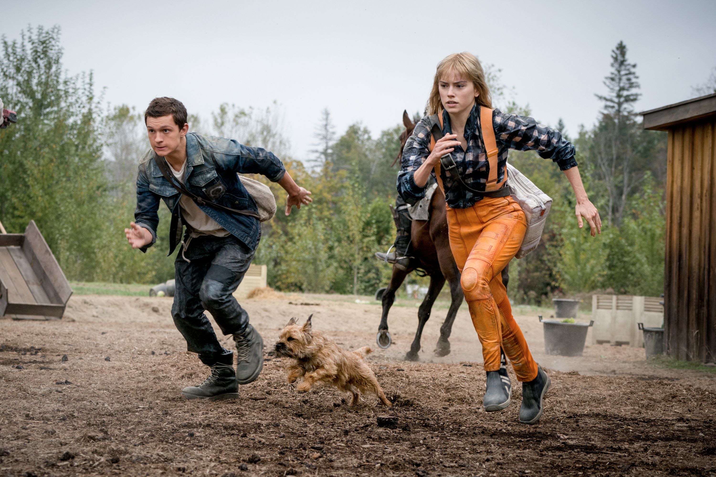 3000x2000 Download Todd Hewitt Tom Holland Viola Eade Daisy Ridley Movie Chaos Walking HD Wallpaperx2000