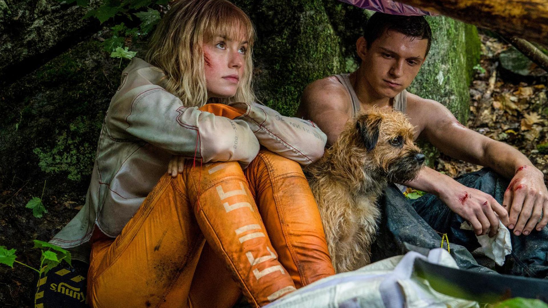 1920x1080 Tom Holland Daisy Ridley HD Chaos Walking Wallpaper