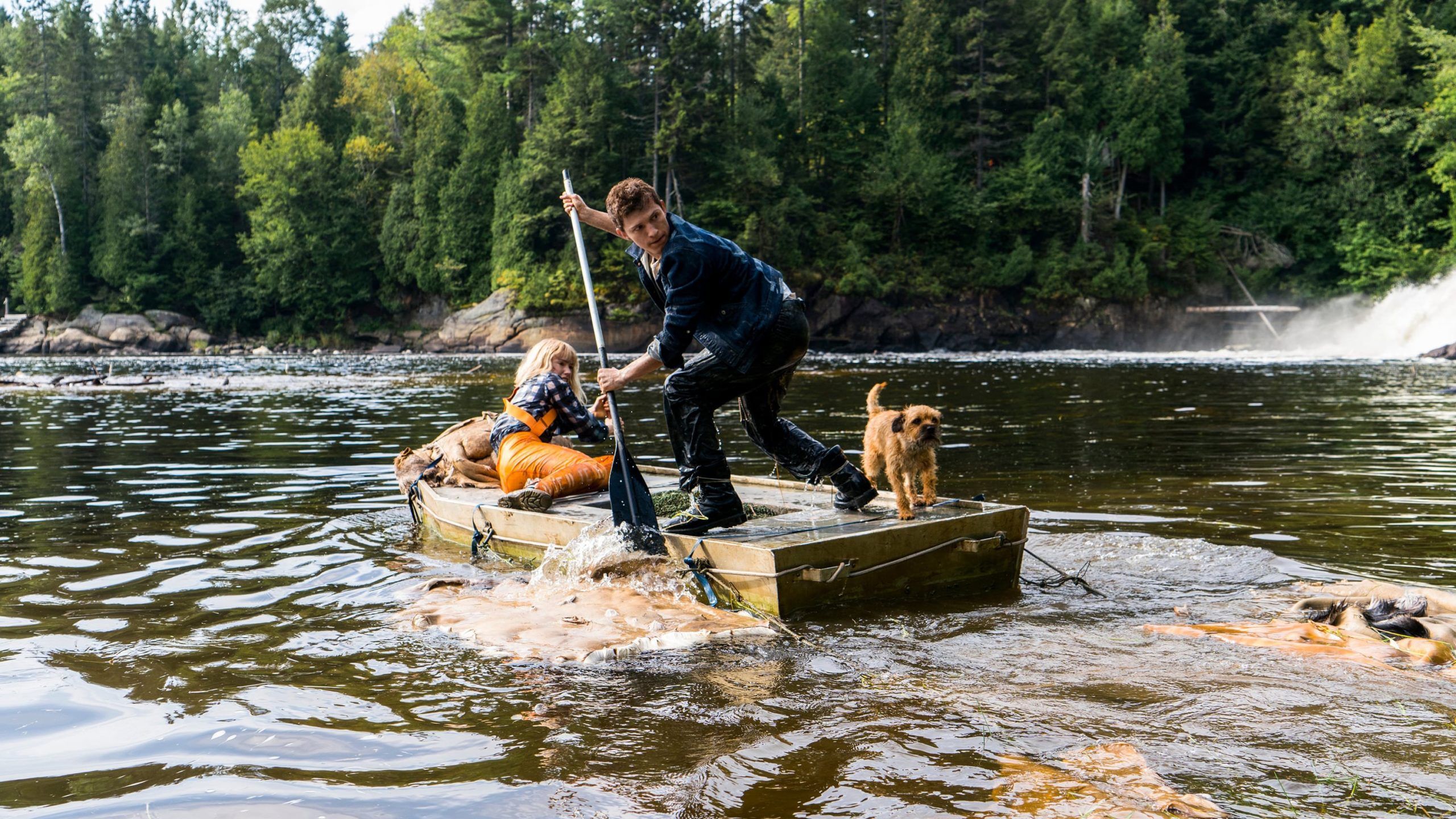 2560x1440 Chaos Walking (2021) Review : Alternate Ending