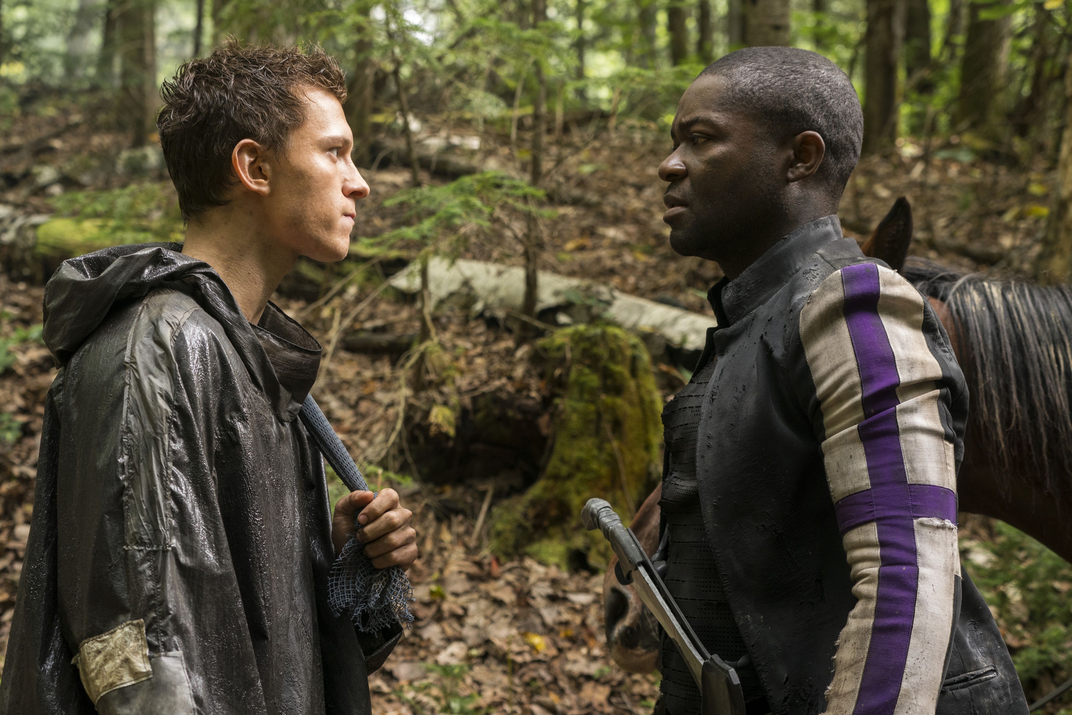 3600x2400 Aaron (Chaos Walking) Phone Wallpaper: Free 4K & HD Downloads